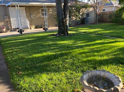 613 Tamarack Dr, Lodi, CA 95240 photo 19