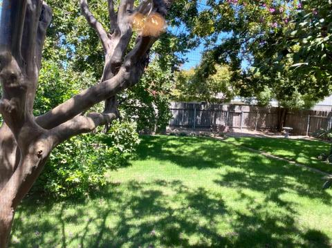 613 Tamarack Dr, Lodi, CA 95240 photo 59