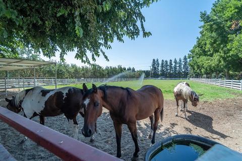 3055 Kansas Ave, Modesto, CA 95358 photo 46