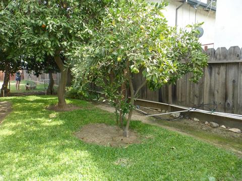 1532 Olson Dr, Gustine, CA 95322 photo 48