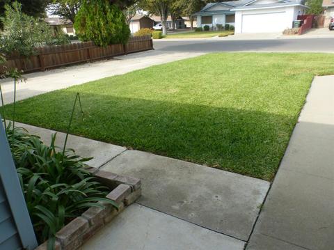 1532 Olson Dr, Gustine, CA 95322 photo 75