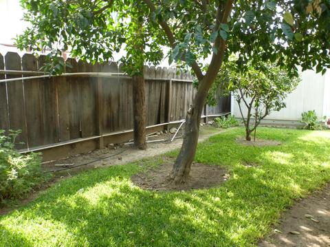 1532 Olson Dr, Gustine, CA 95322 photo 53