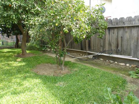 1532 Olson Dr, Gustine, CA 95322 photo 49