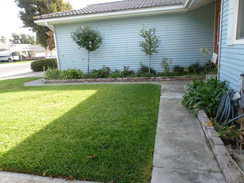 1532 Olson Dr, Gustine, CA 95322 photo 87