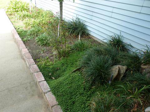 1532 Olson Dr, Gustine, CA 95322 photo 76