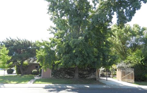 811 Pebble Way, Manteca, CA 95336 photo 3