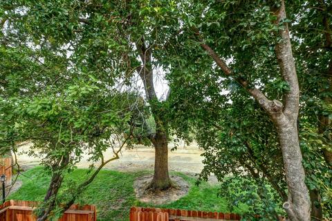 3401 Bermuda Ave #25, Davis, CA 95616 photo 50