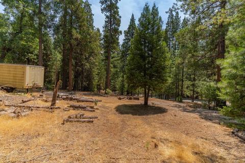 26410 Shake Ridge Rd, Volcano, CA 95689 photo 28