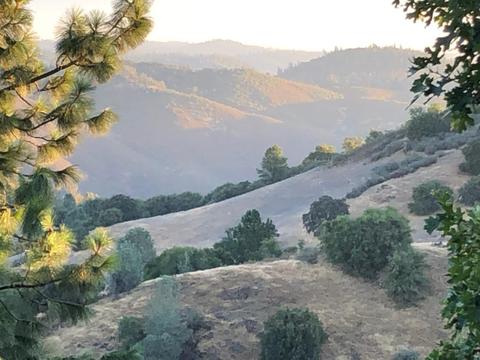 1733 Deadwood Ct, Cool, CA 95614 photo 2