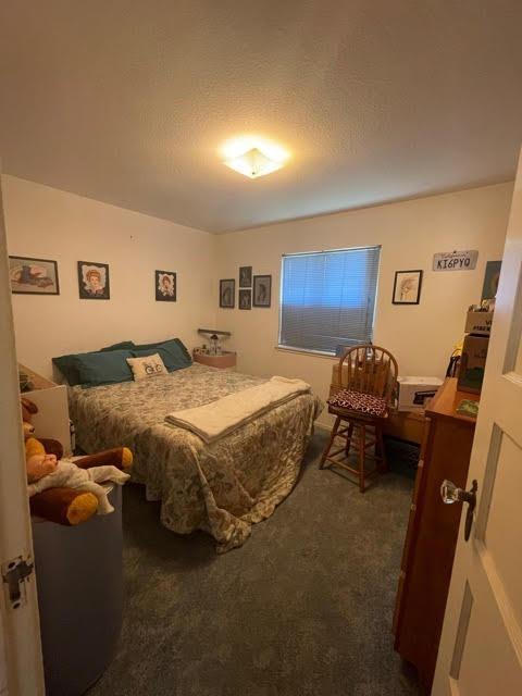 323 Alturas Ave, Modesto, CA 95351 photo 9