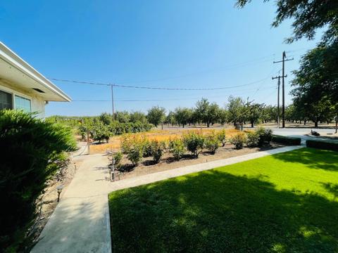 21143 S Olive Ave, Ripon, CA 95366 photo 14