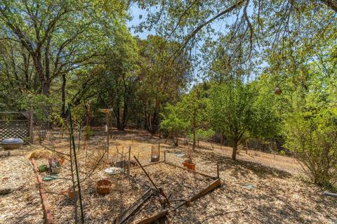 14580 Sandar Rd, Pine Grove, CA 95665 photo 10