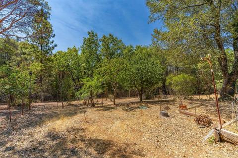 14580 Sandar Rd, Pine Grove, CA 95665 photo 9