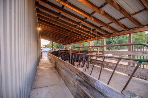 10201 Davis Rd, Wilton, CA 95693 photo 23