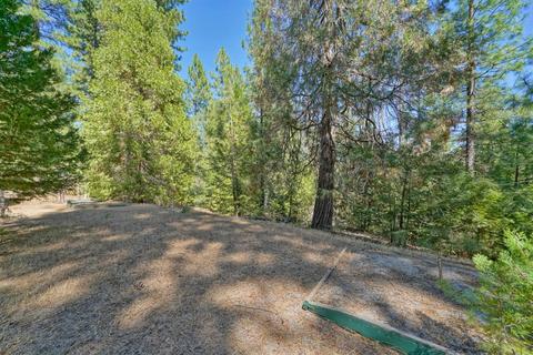 27224 Shake Ridge Rd, Volcano, CA 95689 photo 29