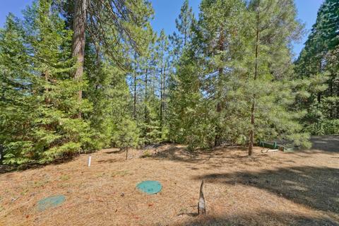 27224 Shake Ridge Rd, Volcano, CA 95689 photo 30