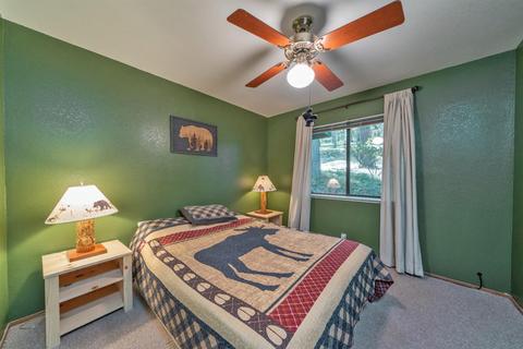 27224 Shake Ridge Rd, Volcano, CA 95689 photo 14