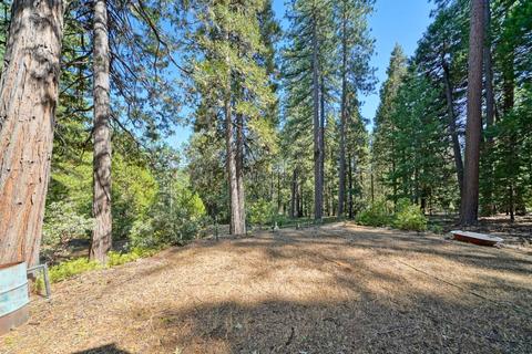 27224 Shake Ridge Rd, Volcano, CA 95689 photo 39
