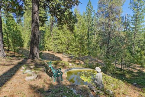 27224 Shake Ridge Rd, Volcano, CA 95689 photo 38