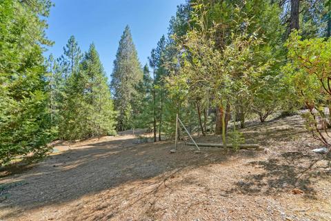 27224 Shake Ridge Rd, Volcano, CA 95689 photo 35
