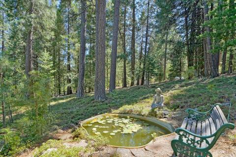 27224 Shake Ridge Rd, Volcano, CA 95689 photo 31