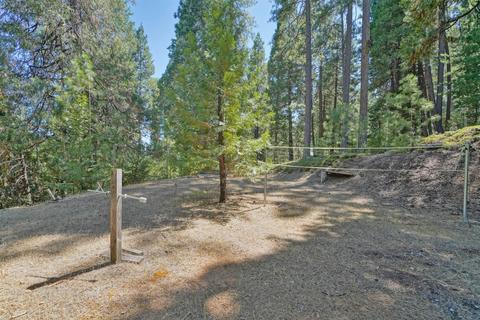 27224 Shake Ridge Rd, Volcano, CA 95689 photo 41