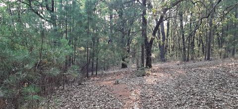 12495 Hidden Valley Rd, Grass Valley, CA 95949 photo 3