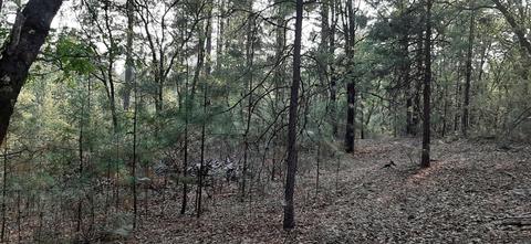 12495 Hidden Valley Rd, Grass Valley, CA 95949 photo 14