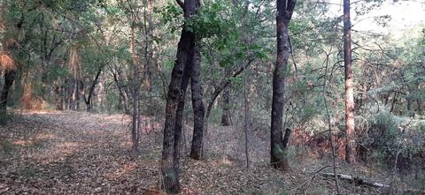 12495 Hidden Valley Rd, Grass Valley, CA 95949 photo 11