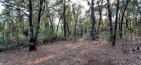 12495 Hidden Valley Rd, Grass Valley, CA 95949 photo 1