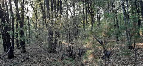12495 Hidden Valley Rd, Grass Valley, CA 95949 photo 16