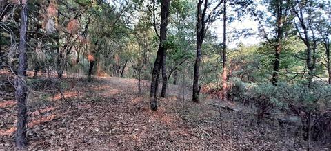 12495 Hidden Valley Rd, Grass Valley, CA 95949 photo 6