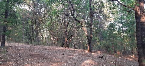12495 Hidden Valley Rd, Grass Valley, CA 95949 photo 17
