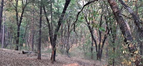 12495 Hidden Valley Rd, Grass Valley, CA 95949 photo 18