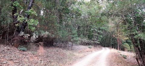 12495 Hidden Valley Rd, Grass Valley, CA 95949 photo 9