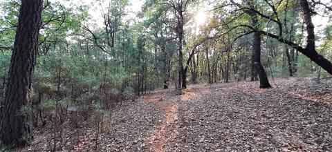 12495 Hidden Valley Rd, Grass Valley, CA 95949 photo 10