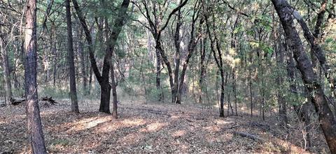 12495 Hidden Valley Rd, Grass Valley, CA 95949 photo 12