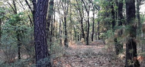 12495 Hidden Valley Rd, Grass Valley, CA 95949 photo 13