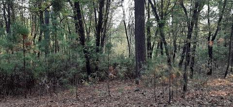 12495 Hidden Valley Rd, Grass Valley, CA 95949 photo 2