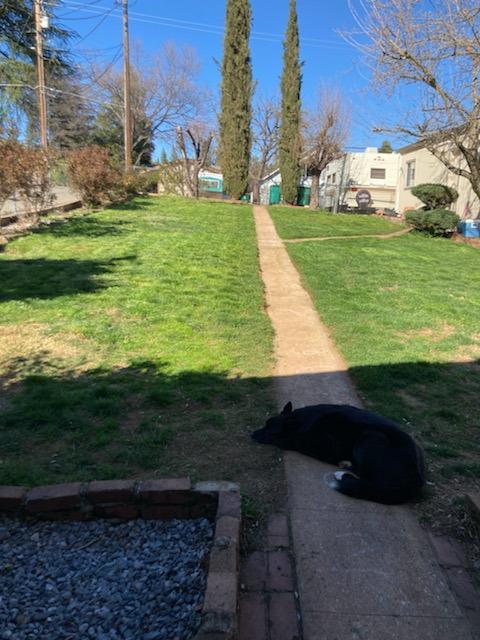 626 Myrtle Ave, Placerville, CA 95667 photo 27