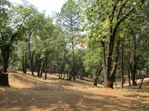 1020 Dusty Rd, Colfax, CA 95713 photo 46