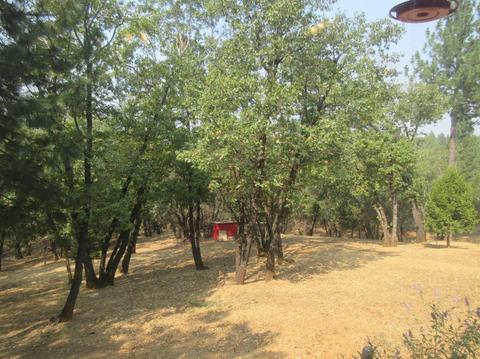 1020 Dusty Rd, Colfax, CA 95713 photo 37