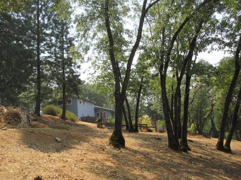 1020 Dusty Rd, Colfax, CA 95713 photo 43