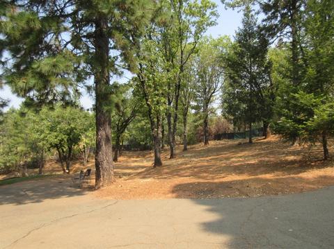 1020 Dusty Rd, Colfax, CA 95713 photo 39