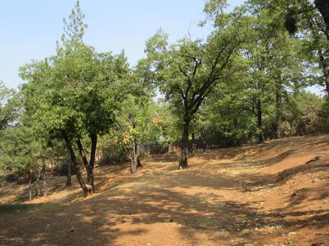 1020 Dusty Rd, Colfax, CA 95713 photo 45