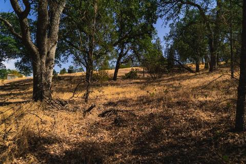17000 Robinhill Rd, Corning, CA 96021 photo 5
