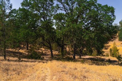 17000 Robinhill Rd, Corning, CA 96021 photo 4