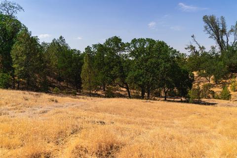 17000 Robinhill Rd, Corning, CA 96021 photo 1