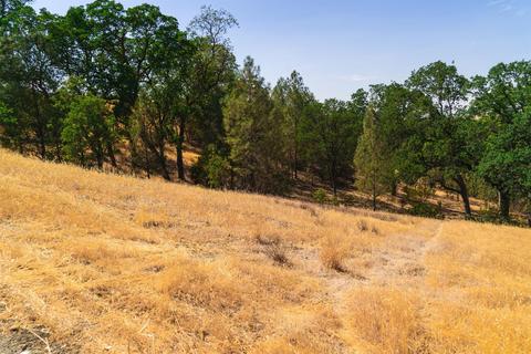 17000 Robinhill Rd, Corning, CA 96021 photo 3