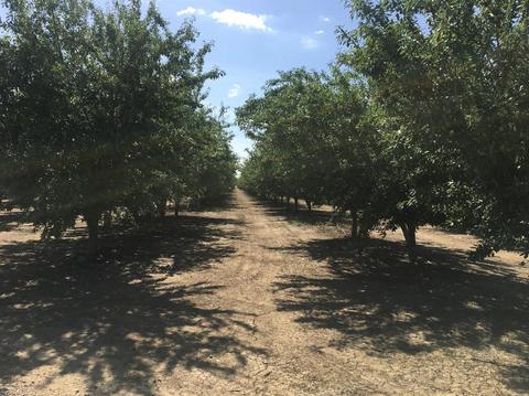 2142 W Durham Ferry Rd, Tracy, CA 95304 photo 1